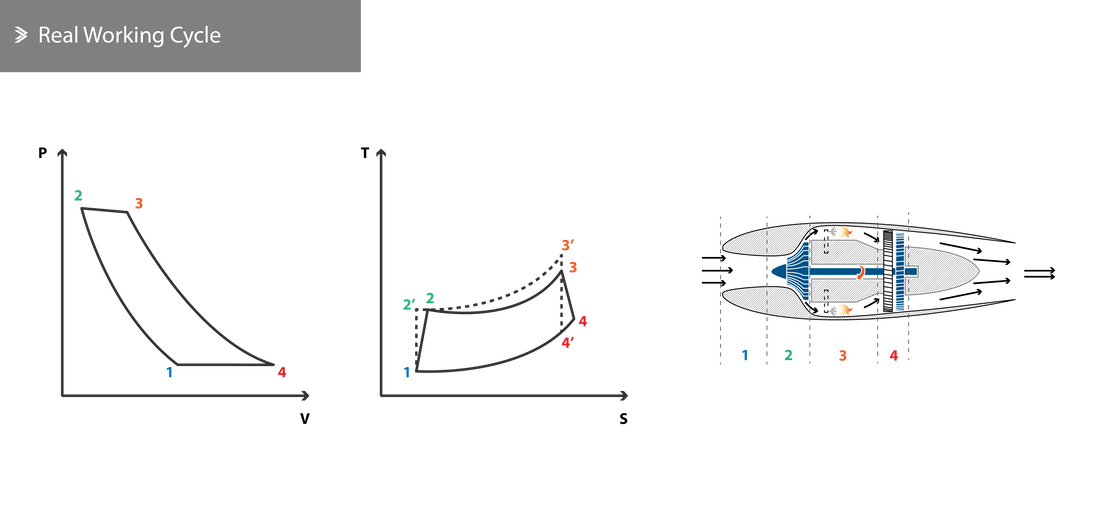 Real Working Cycle